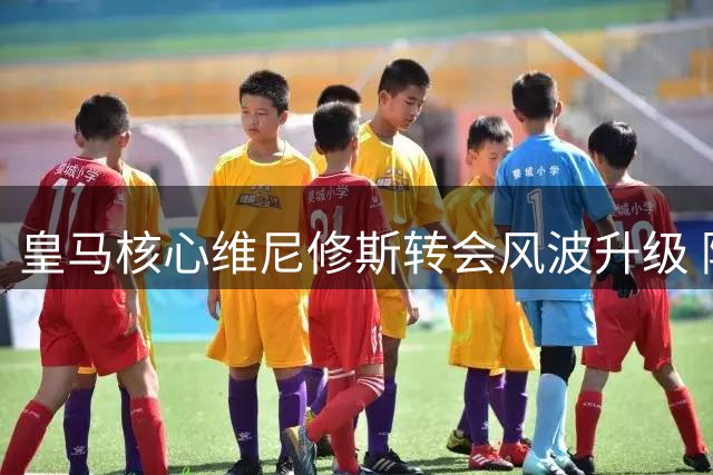 皇马核心维尼修斯转会风波升级 阿森纳欲破队史薪资纪录抢人